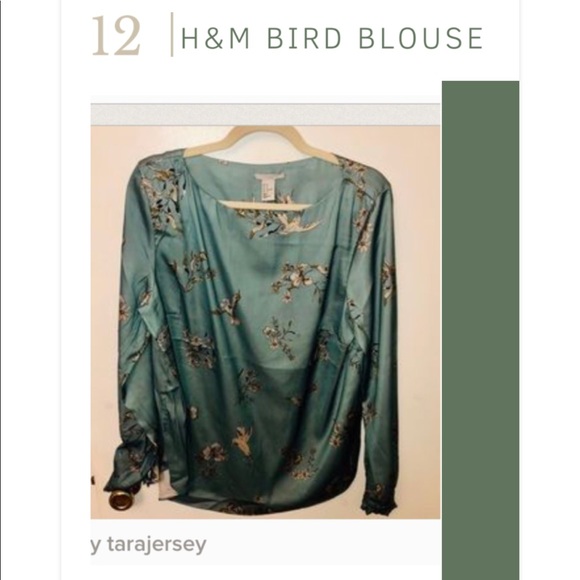 H&M Tops - H&M Bird Blouse in Ice Blue
